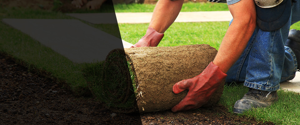 Summerdale Landscapers